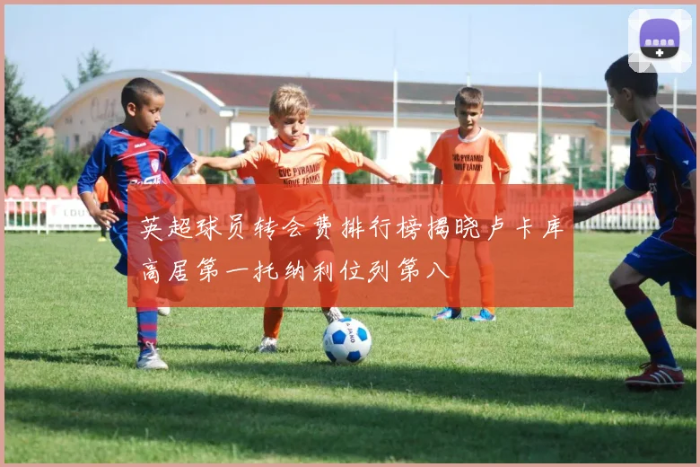 英超球员转会费排行榜揭晓卢卡库高居第一托纳利位列第八